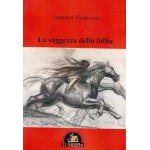 La saggezza della follia